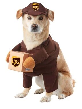 UPS Delivery Dog Costume - Novelty Pet Outfit - sz M